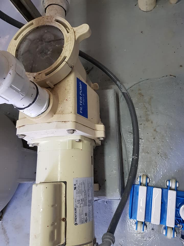 CHLORINATION WORKS( PARK HYATT HOTEL ST.KITTS)